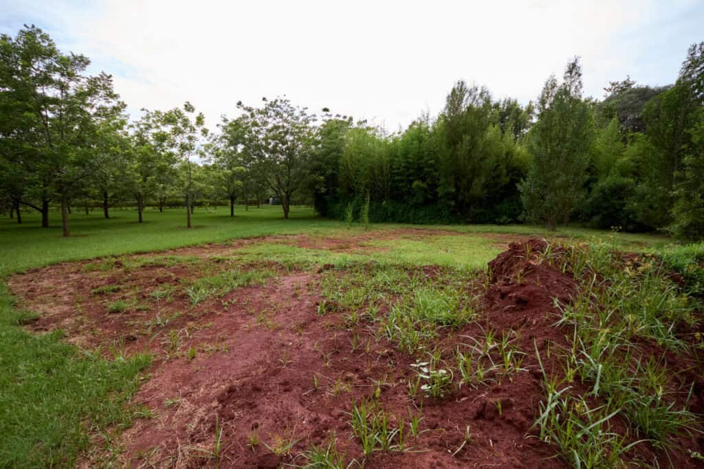show the space for the market garden Market Garden Beginning