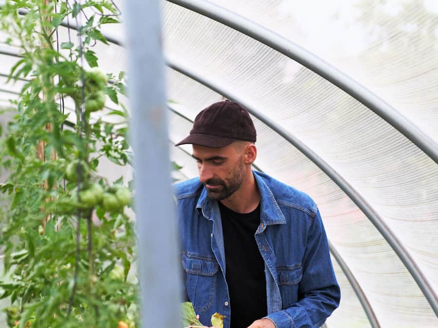 Urban Veggie Farm, Jonathan and the Heirloom Tomatoes