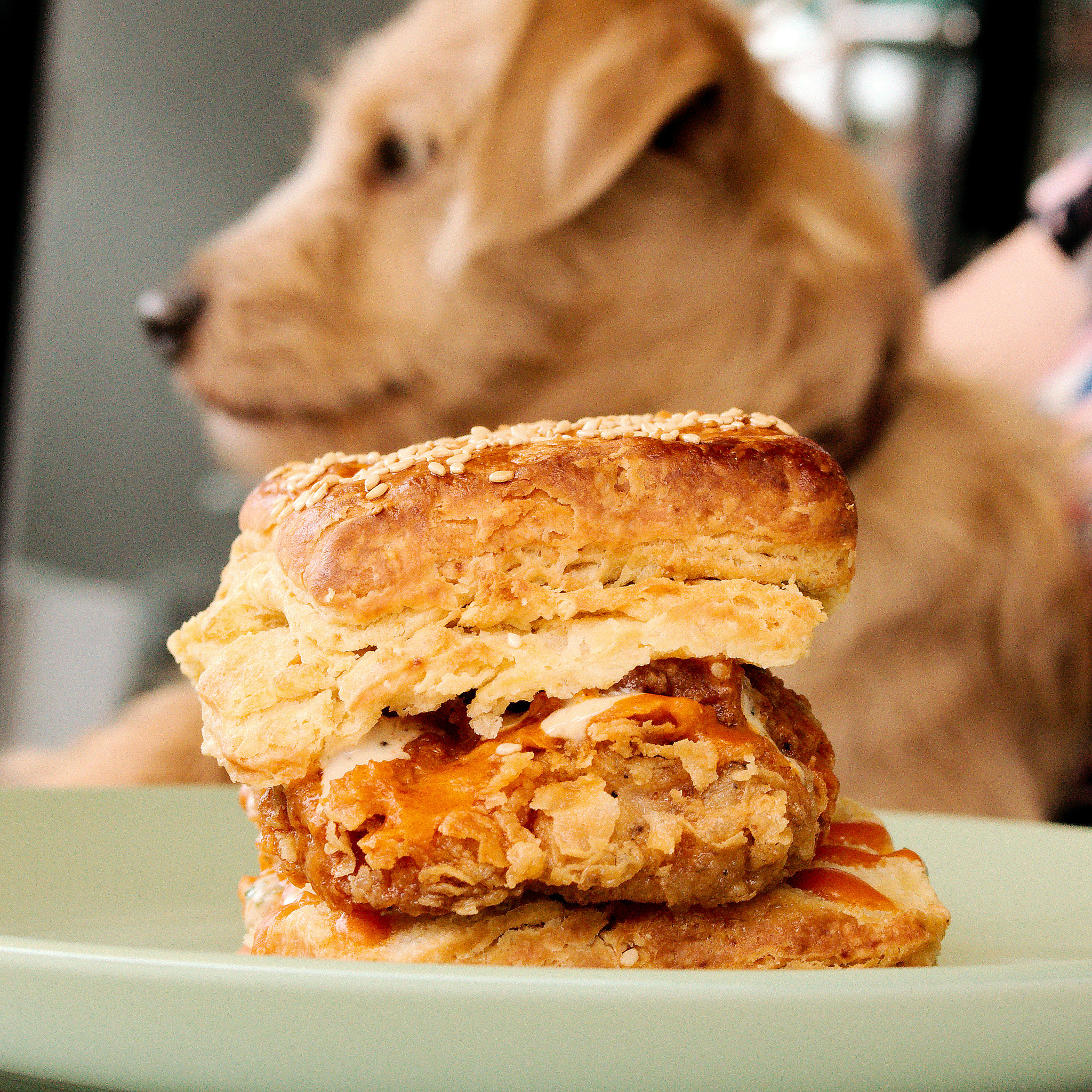 Biscuit Making Class and Afternoon Tea Party--October 24th, 2026 - Image 10
