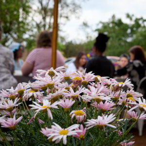Farm Cooking Classes and Events