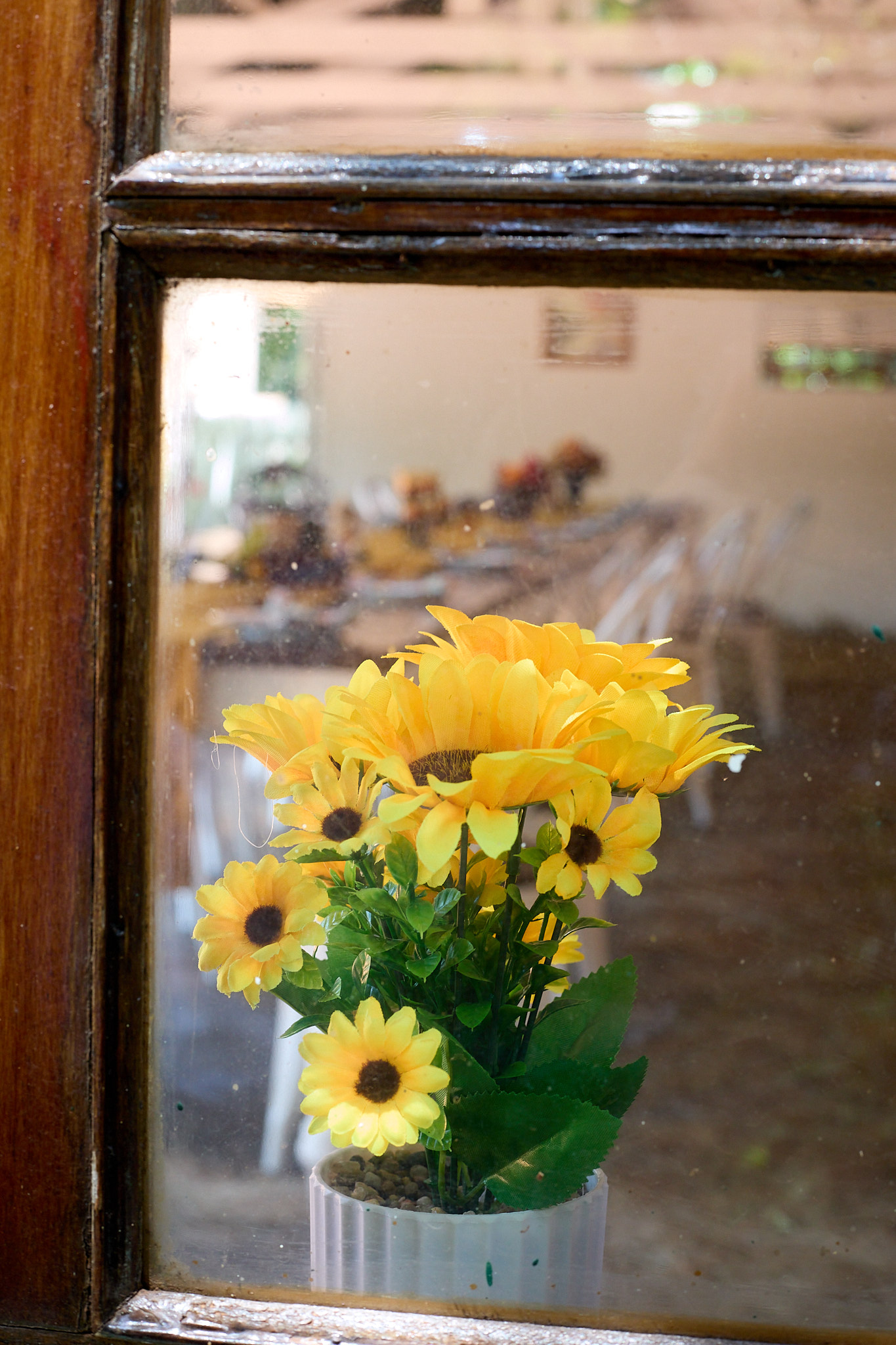 Thanksgiving Lunch and U-Pick Garden Harvest: November 28th, 2026 - Image 4